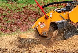 Best Tree and Shrub Care  in Berly, MO